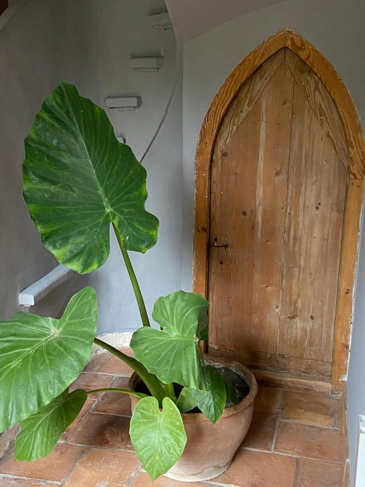 CabannesMas Carita住宿加早餐旅馆 外观 照片
